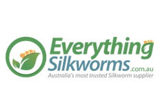 Everything Silkworms